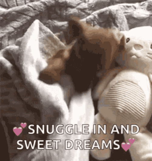 Good Night Sweet Dreams Snuggle Dog