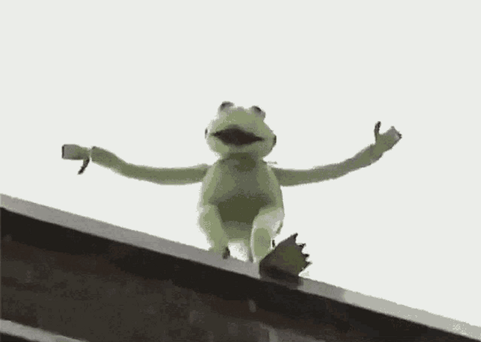 Suicide Kermit The Frog