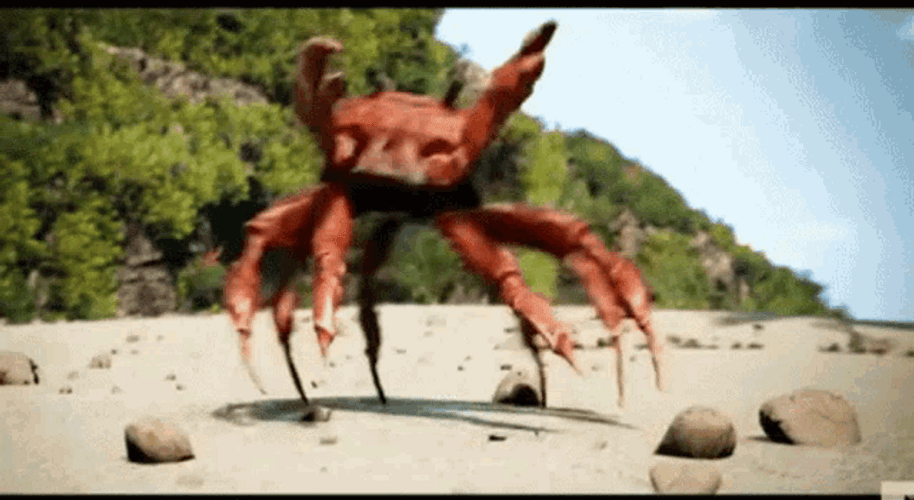Crab Funny Rave Dance