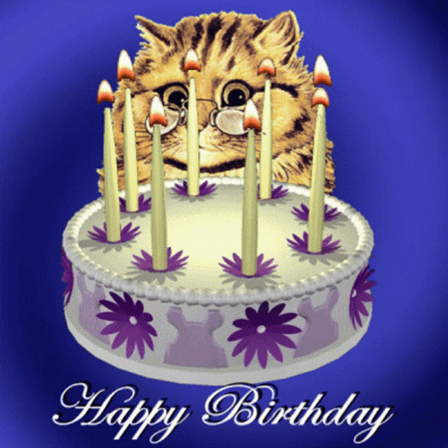 Happy Birthday Cake Cat