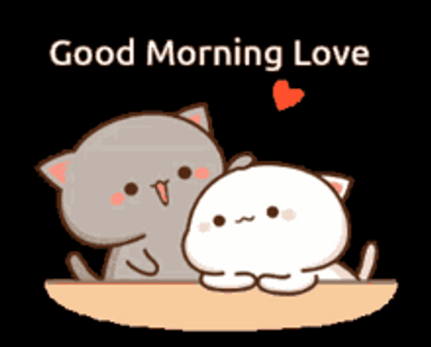 Morning Love Cartoon Cats