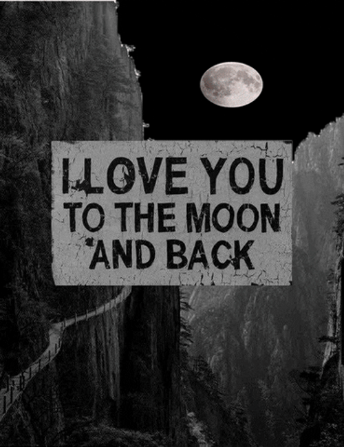 I Love You To The Moon