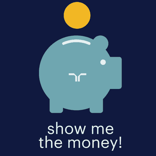 Show Me The Money Piggy Bank