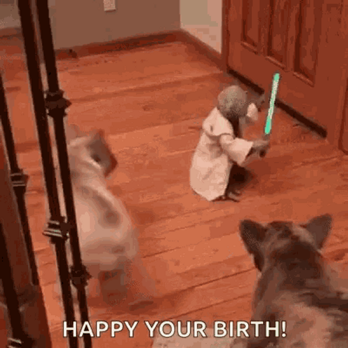 Master Yoda Happy Birthday Meme