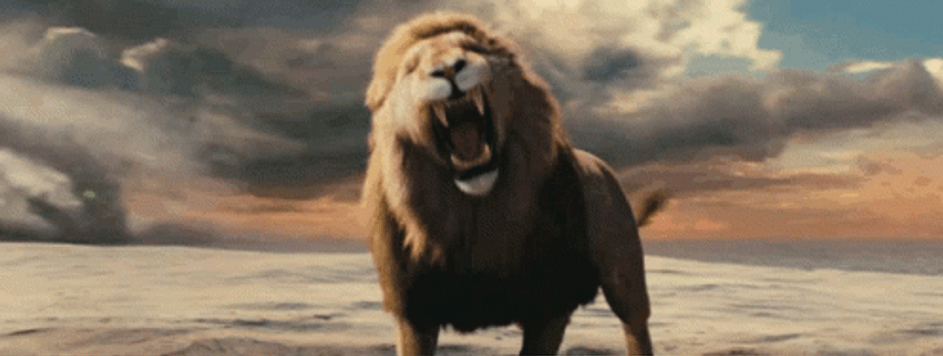 Narnia Aslan The Lion