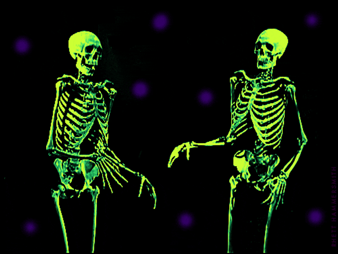 Halloween Party Skeletons