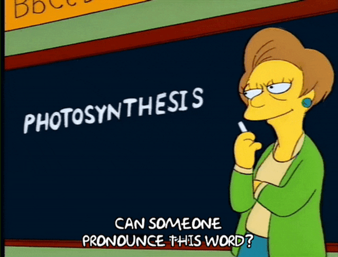 The Simpsons Pronounce Photosynthesis