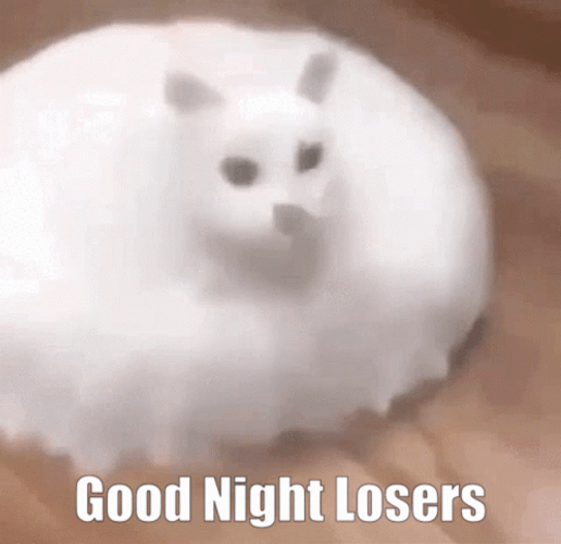 Good Night Losers