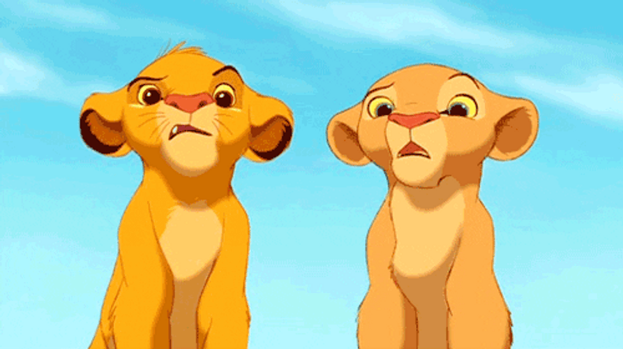 Simba And Nala Huh Reaction
