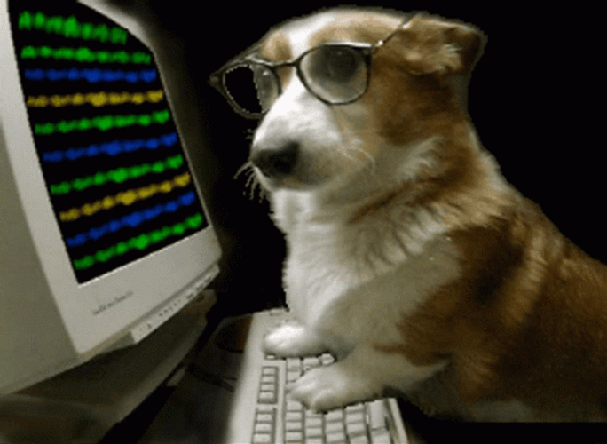 Corgi Dog Hacker