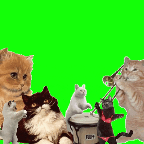 Dancing Cats With Music Instruments