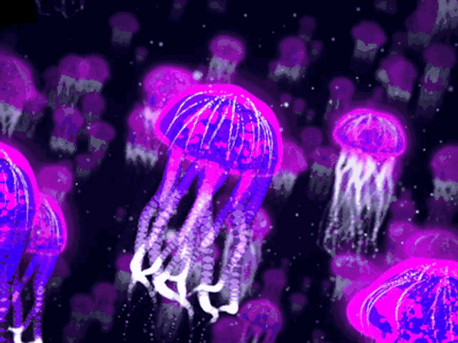 Dazzling Purple Jellyfish