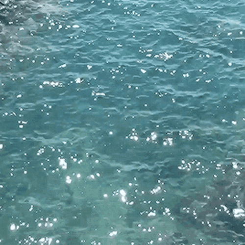 Clear Water Sparkling Waves
