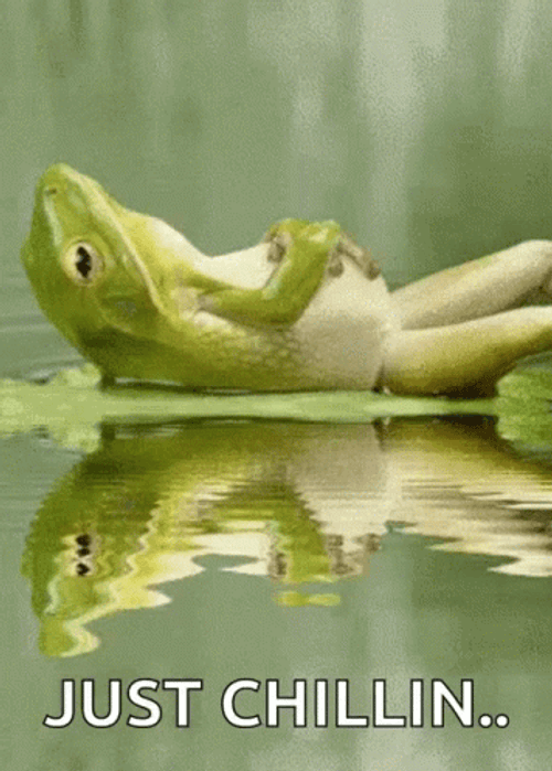 Frog Water Relax