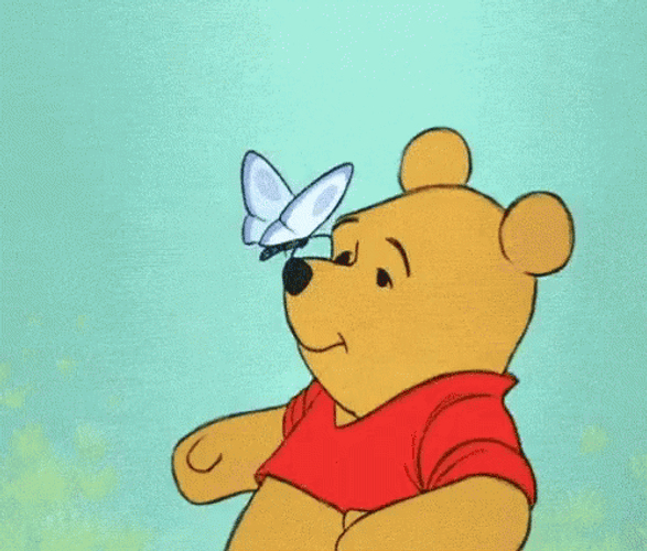 Butterfly On Pooh Nose