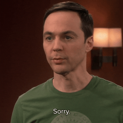 The Big Bang Theory Sheldon Cooper Sorry
