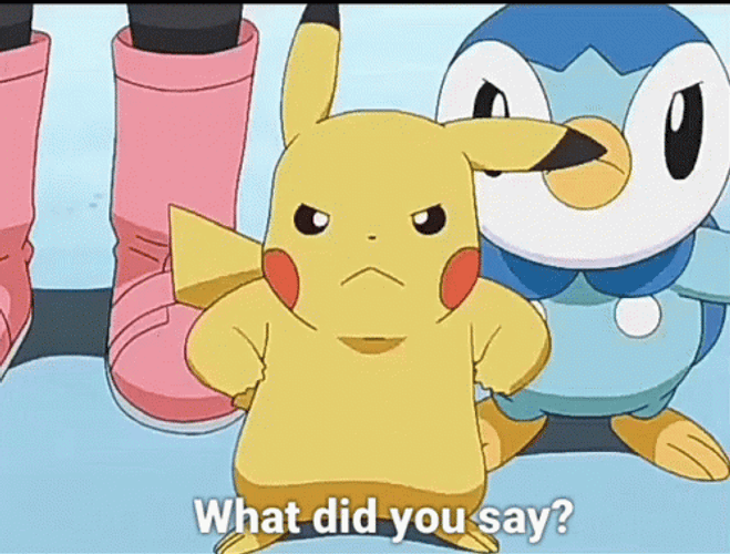 Pikachu What Did You Say