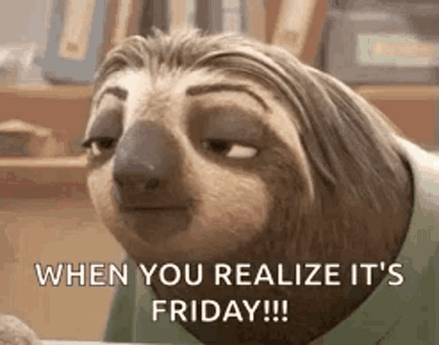 You Realize Its Friday Zootopia