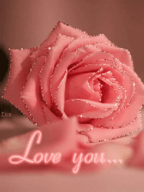 Pink Rose Love You