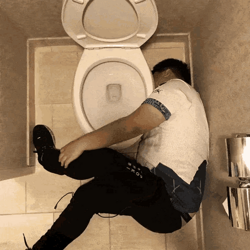 Spinning Drunk In Toilet
