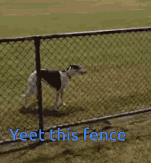 Yeet This Fence Dog