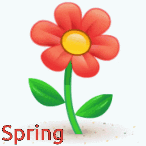 Spring Flower Cycle