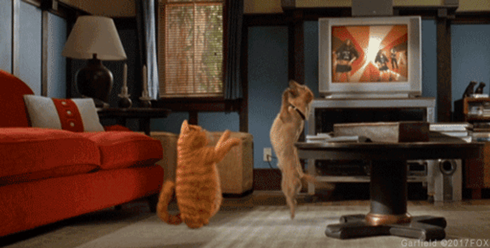 Dancing Cat Garfield And Dog Odie