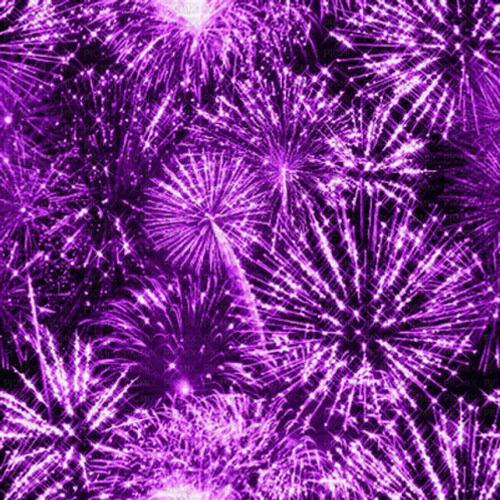 Sparkling Purple Fireworks