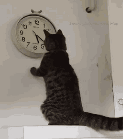 Cat Countdown Moving Hour Hand