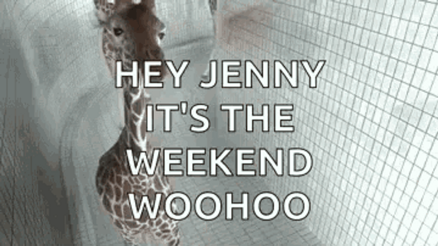 Weekend Woohoo Giraffe