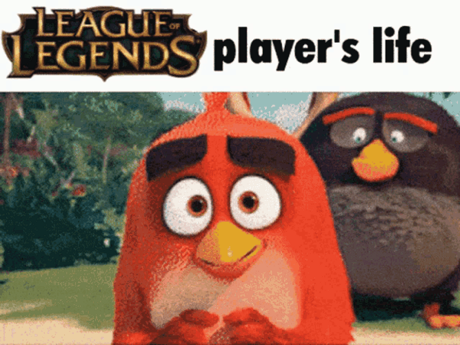 League Of Legends Player&s Life