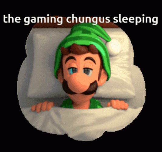 The Gaming Chungus Sleeping