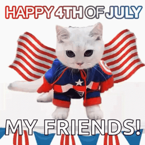 Happy th Of July Cat Captain America