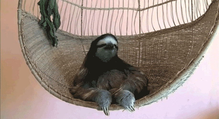Sloth Sitting On Cradle