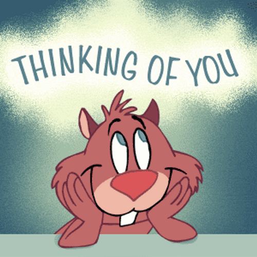Thinking Of You Chipmunk