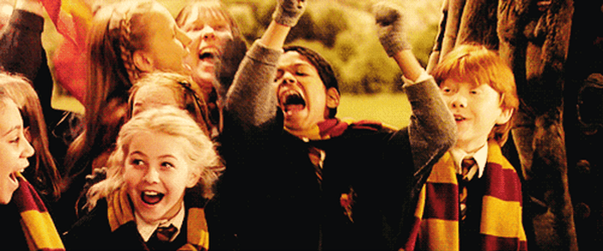 Harry Potter Gryffindor Kids Cheering