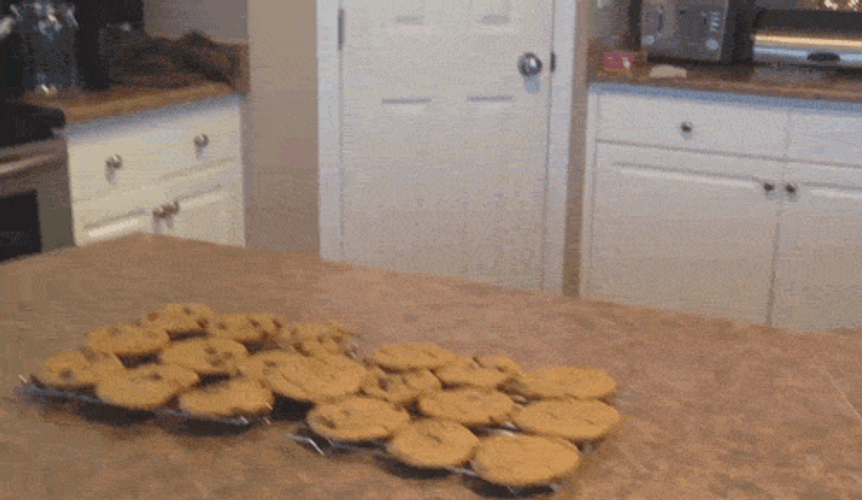Dog Reaching Cookies