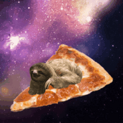 Space Pizza Sloth Purple Galaxy