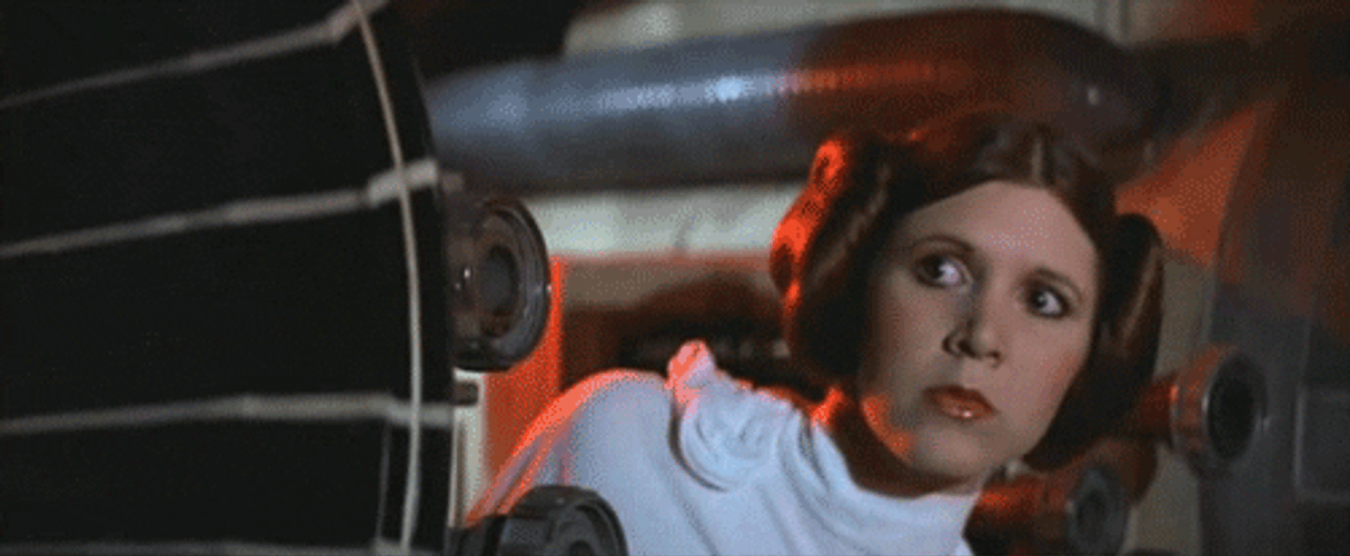 Star Wars Peeping Princess Leia Organa