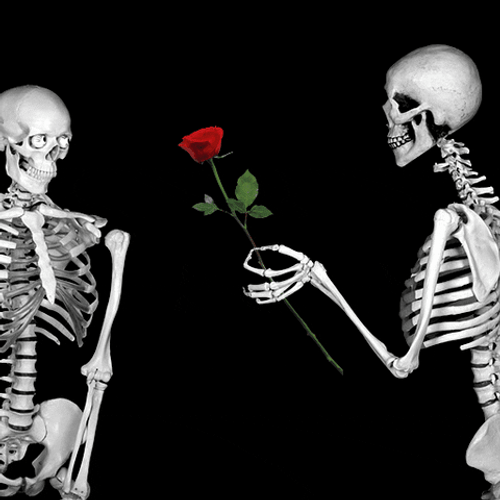 Rose From Skeleton