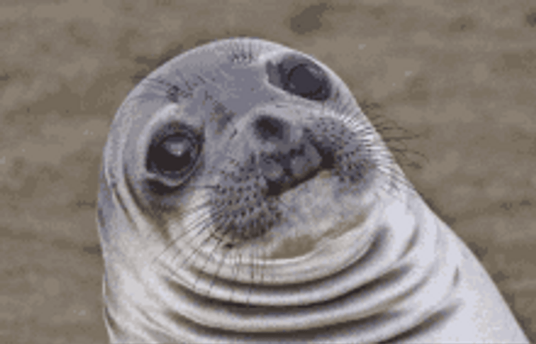 Trippy Seal Wavy Chin