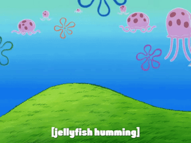 It&s The Jellyfish Song