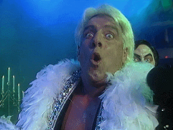 Ric Flair Intense Excitement