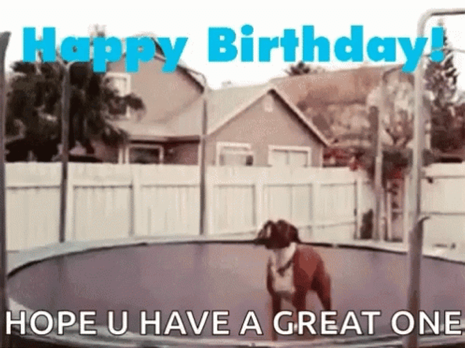 Dog Happy Birthday