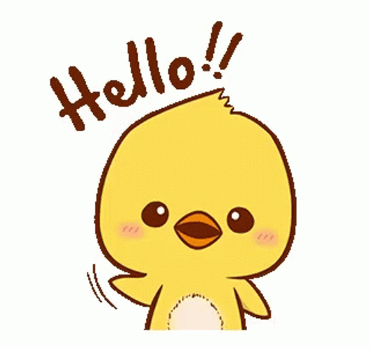 Hello Cute Chick