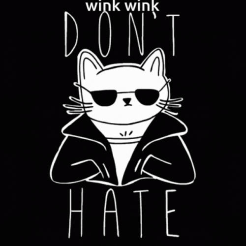 Wink Wink Don&t Hate Cat