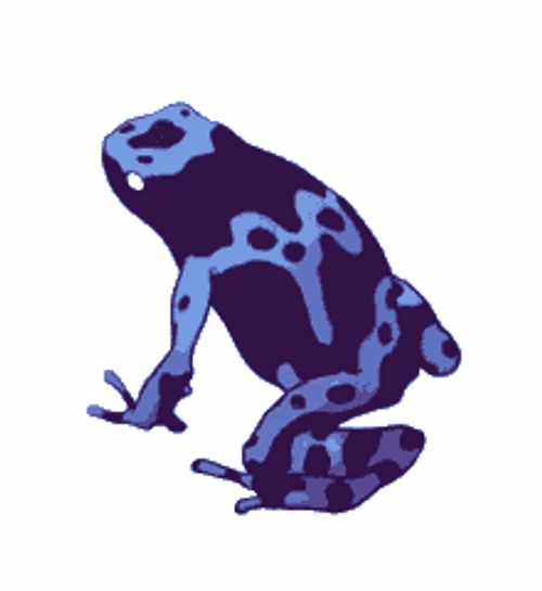 Blue Dart Frog Art