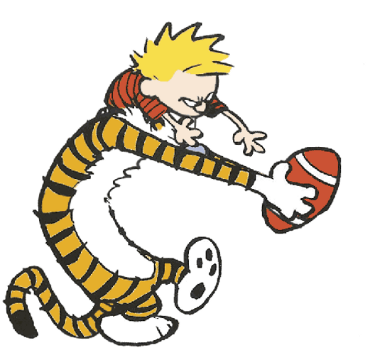 Calvin And Hobbes Football Fight