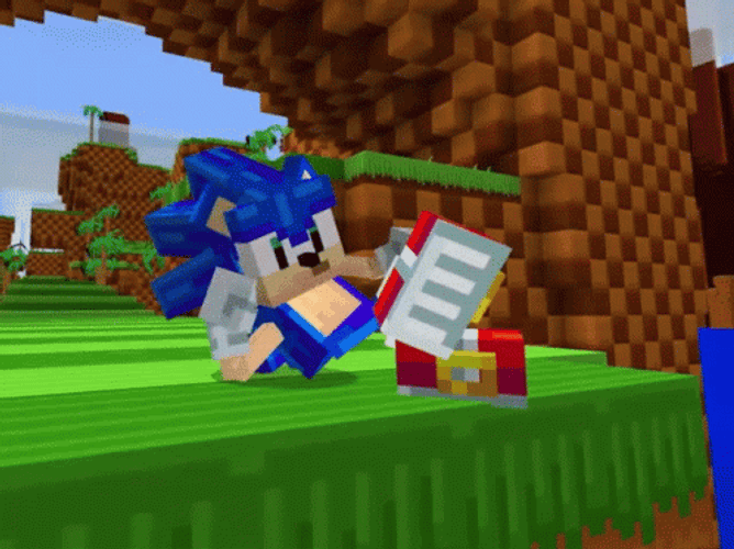 Minecraft Sonic Sitting