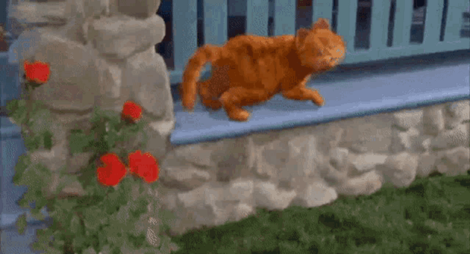 Dancing Cat Garfield Tail Wagging